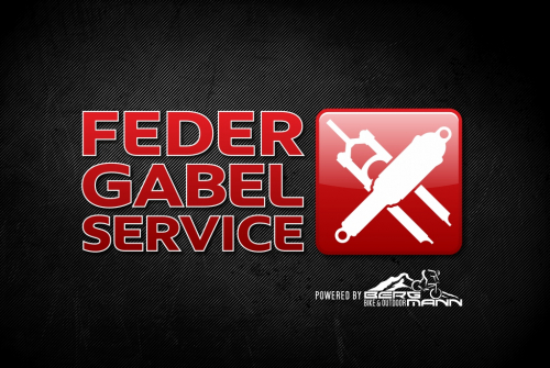 federgabel service vorn